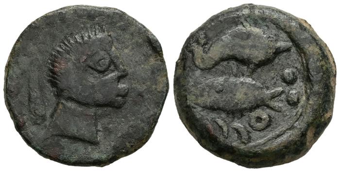 Celtiberian Coins