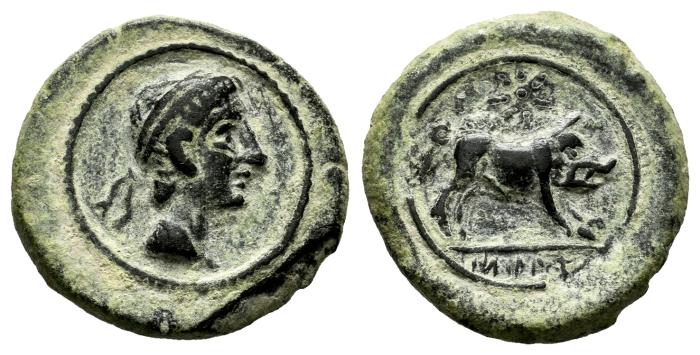 Celtiberian Coins