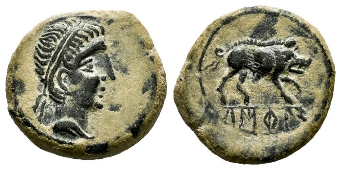 Celtiberian Coins