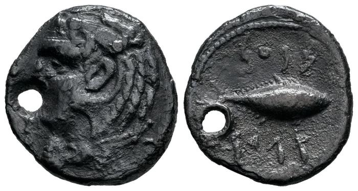 Celtiberian Coins