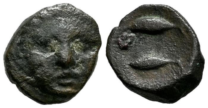 Celtiberian Coins