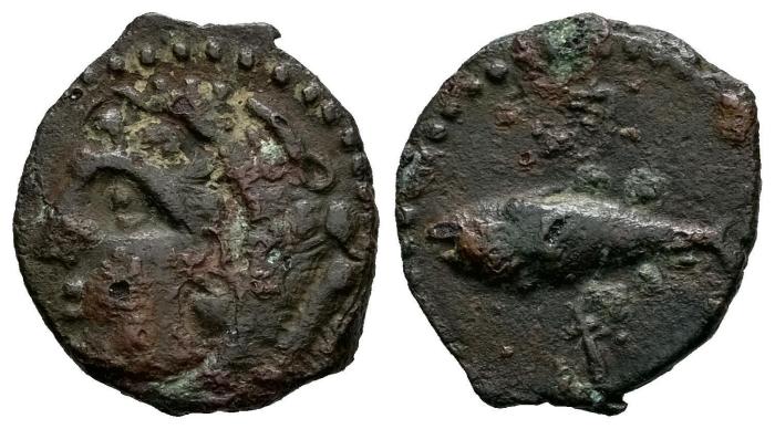 Celtiberian Coins