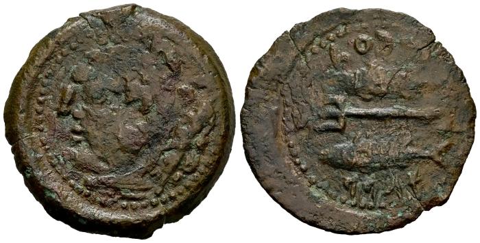 Celtiberian Coins
