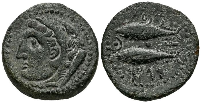 Celtiberian Coins