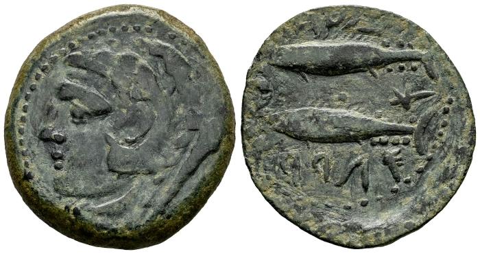 Celtiberian Coins