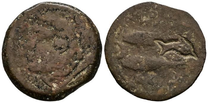 Celtiberian Coins