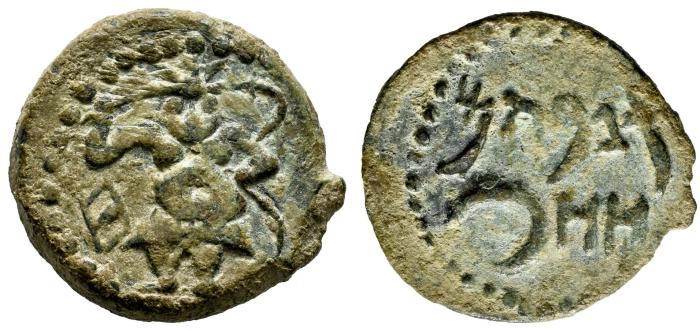 Celtiberian Coins