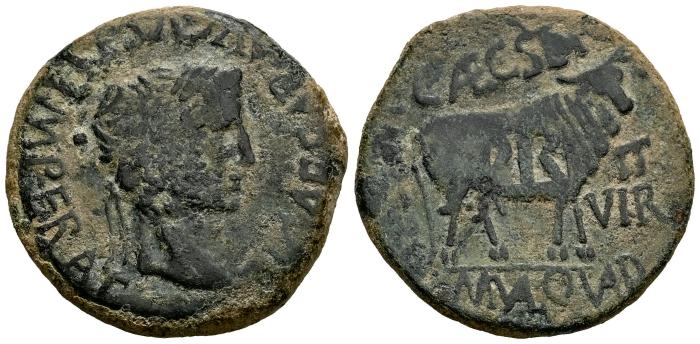 Celtiberian Coins