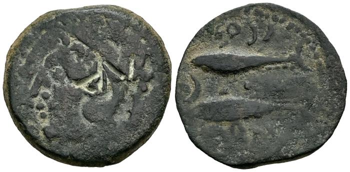 Celtiberian Coins