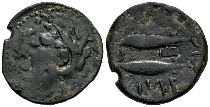 Celtiberian Coins