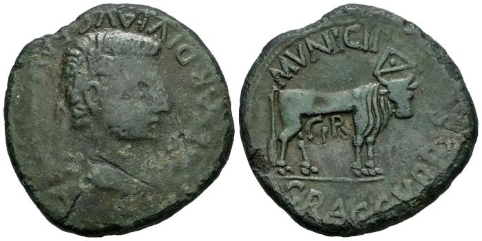 Celtiberian Coins