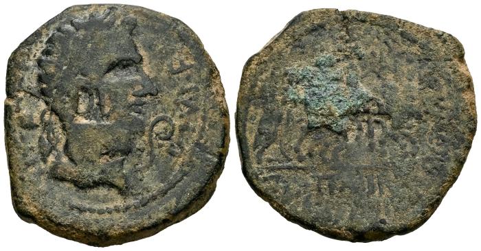 Celtiberian Coins
