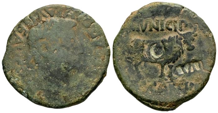 Celtiberian Coins
