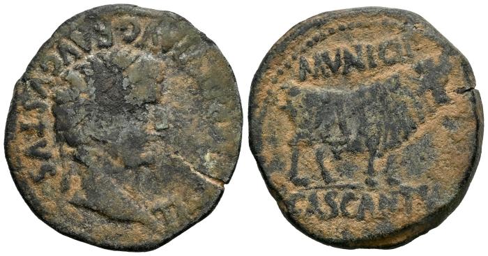 Celtiberian Coins