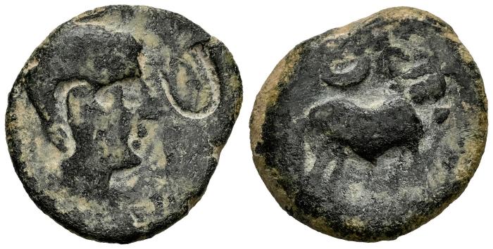 Celtiberian Coins