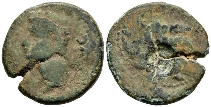Celtiberian Coins