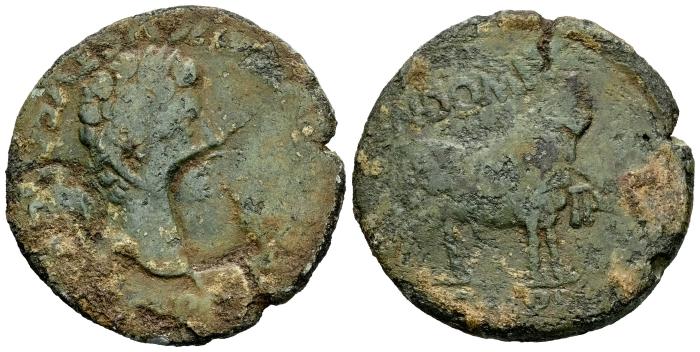 Celtiberian Coins