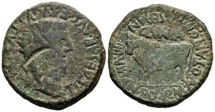 Celtiberian Coins