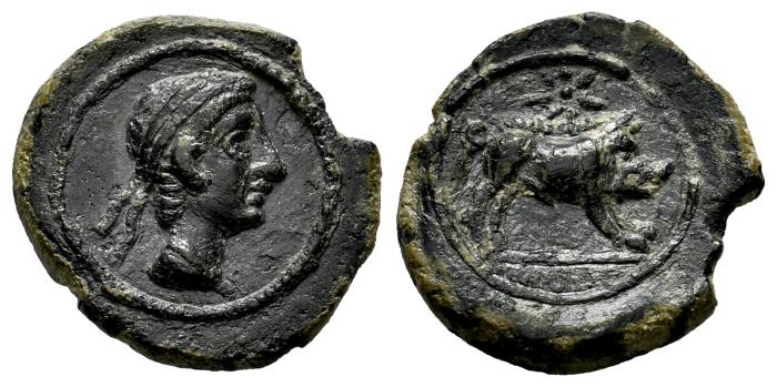 Celtiberian Coins
