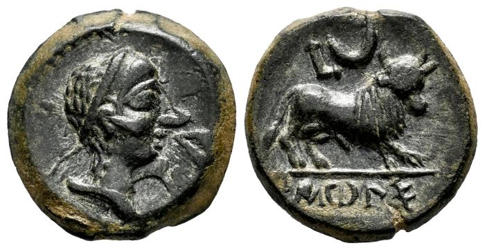 Celtiberian Coins