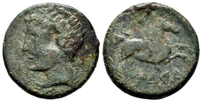 Celtiberian Coins