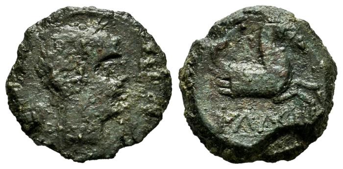 Celtiberian Coins