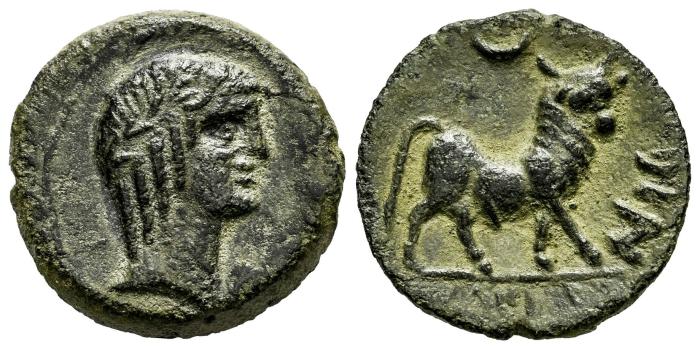 Celtiberian Coins