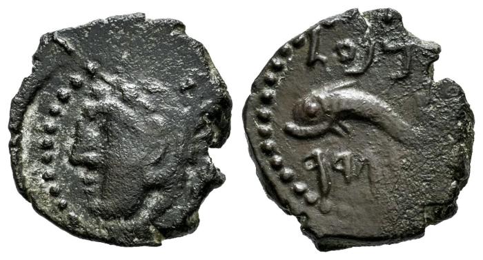 Celtiberian Coins