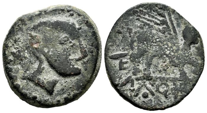 Celtiberian Coins