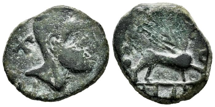 Celtiberian Coins