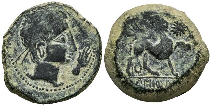 Celtiberian Coins