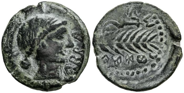 Celtiberian Coins