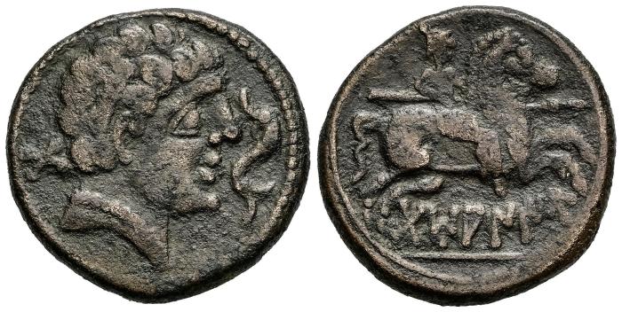 Celtiberian Coins