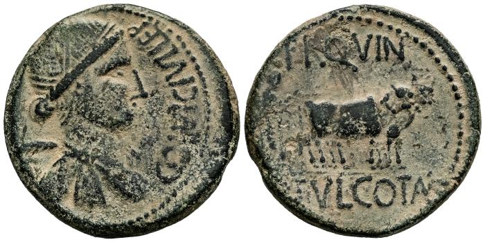 Celtiberian Coins