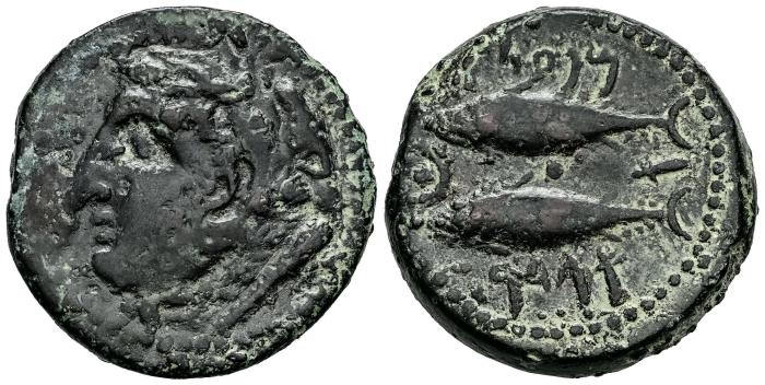 Celtiberian Coins