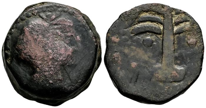 Celtiberian Coins