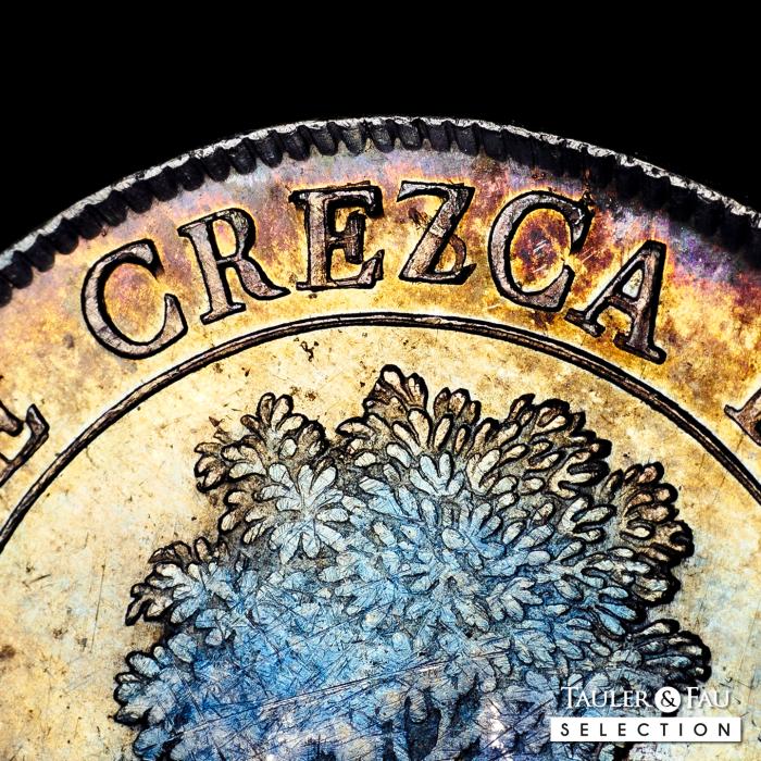 Monedas Extranjeras