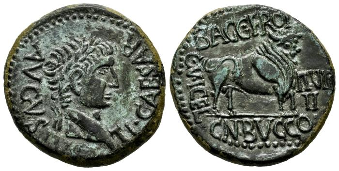 Celtiberian Coins