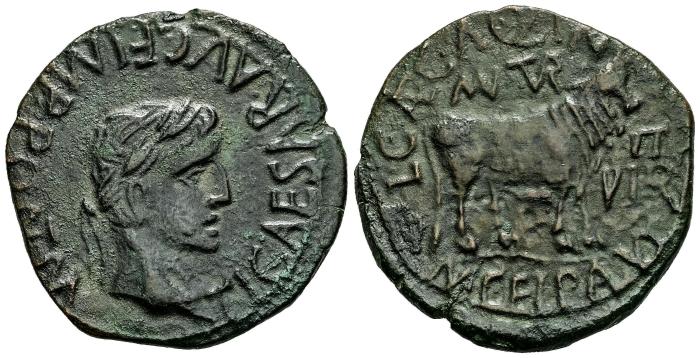 Celtiberian Coins