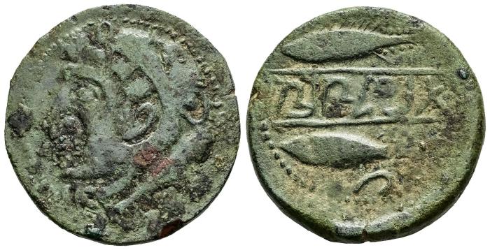 Celtiberian Coins
