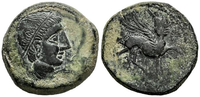 Celtiberian Coins