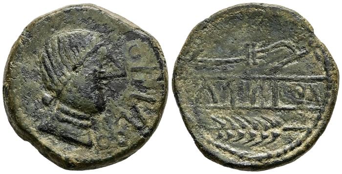 Celtiberian Coins