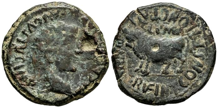 Celtiberian Coins