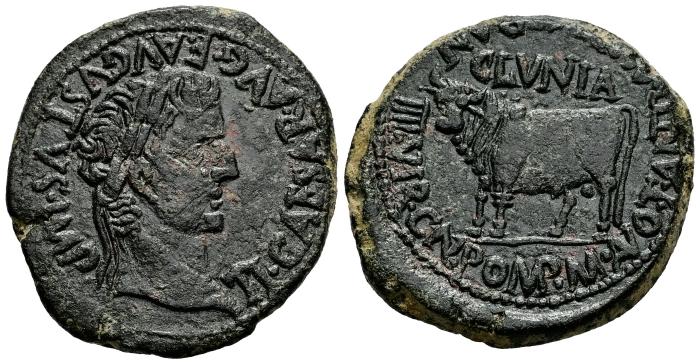 Celtiberian Coins
