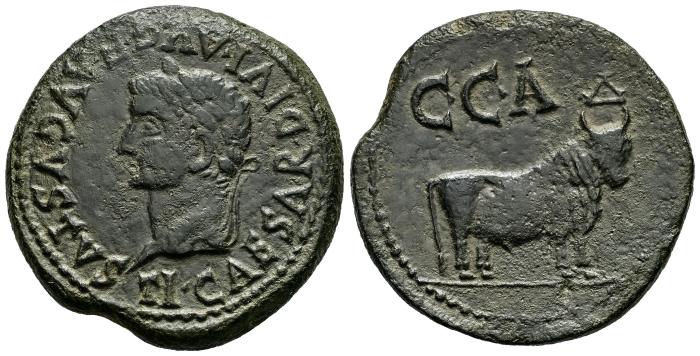 Celtiberian Coins