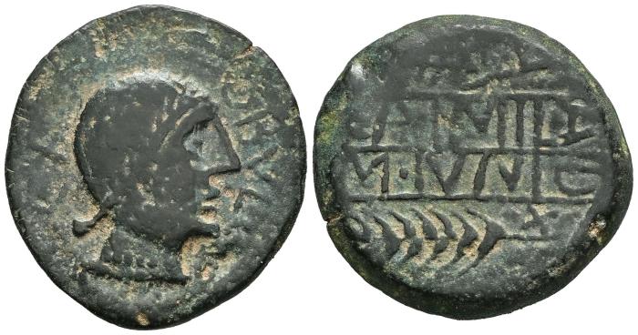 Celtiberian Coins
