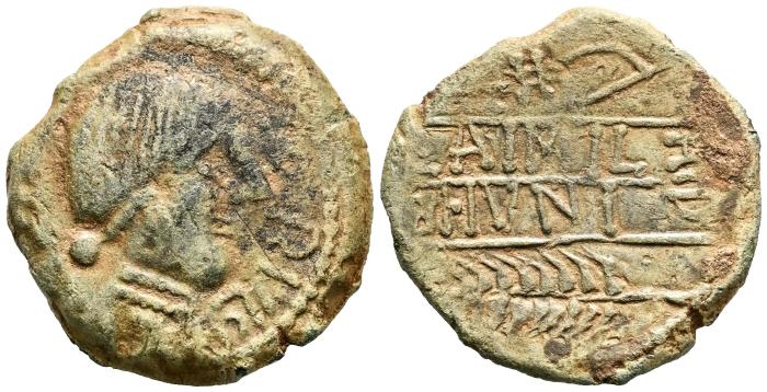 Celtiberian Coins
