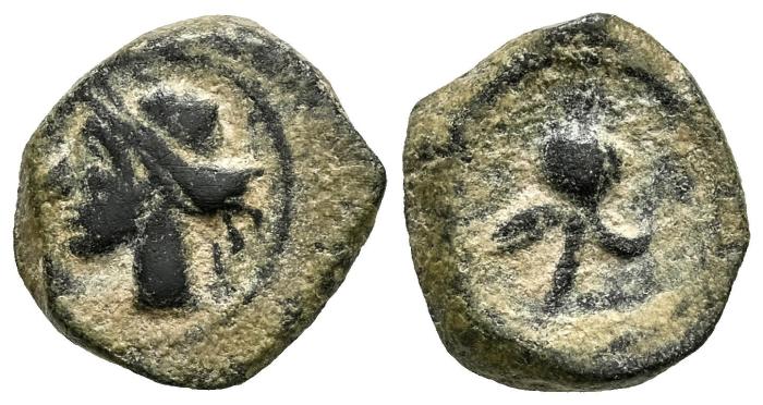 Celtiberian Coins