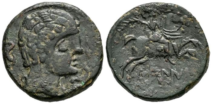 Celtiberian Coins