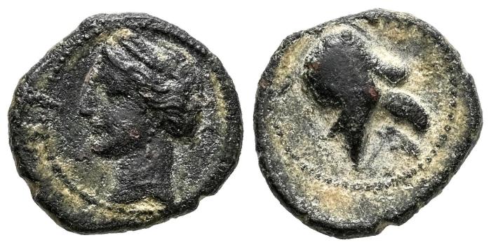 Celtiberian Coins